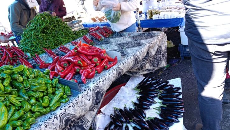 Diyarbakır’da pazarda patlıcan fiyatı 300 TL’ye çıktı