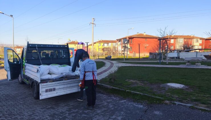 Diyarbakır Kayapınar’da parklarda bakım çalışması