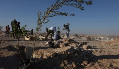 Suriye’de kayıplar için incir fidanları dikildi