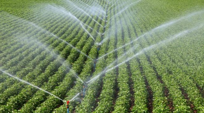 Tarımsal destek bütçesi geçen yıl 158,55 milyar liraya yükseldi