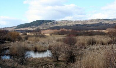 Tarımsal drenaj turbalıkları karbon fabrikasına çeviriyor