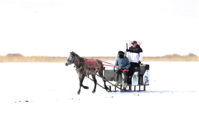 Çıldır Gölü üzerinde nostaljik yolculuk: Atlı Kızaklar