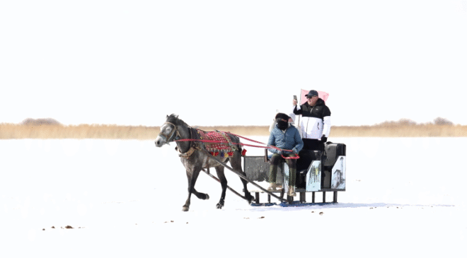 Çıldır Gölü üzerinde nostaljik yolculuk: Atlı Kızaklar