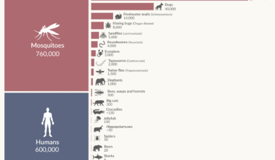 Dünyanın en ölümcül hayvanları hangileridir ve kendimizi onlara karşı koruyabilir miyiz?