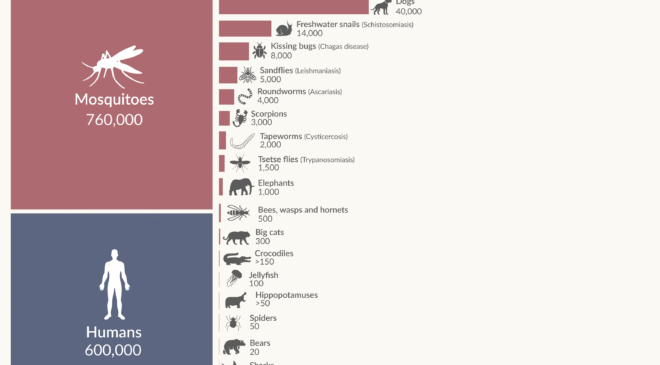 Dünyanın en ölümcül hayvanları hangileridir ve kendimizi onlara karşı koruyabilir miyiz?