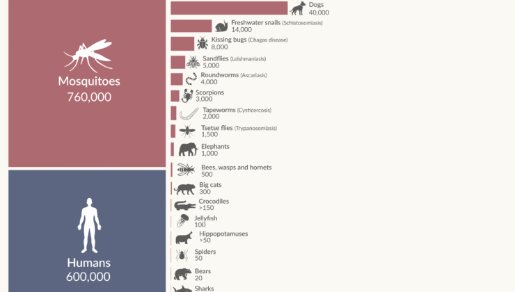 Dünyanın en ölümcül hayvanları hangileridir ve kendimizi onlara karşı koruyabilir miyiz?