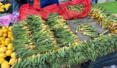 Diyarbakır’da Gulik, pazara indi