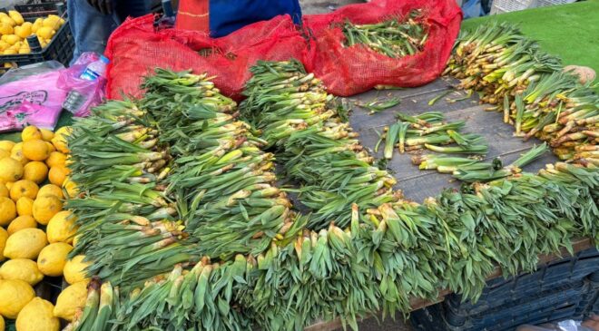 Diyarbakır’da Gulik, pazara indi