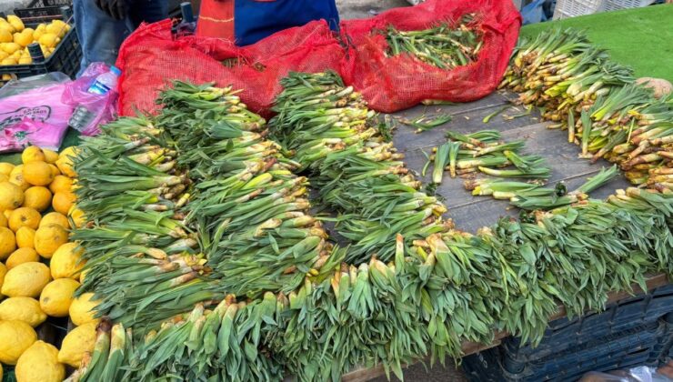 Diyarbakır’da Gulik, pazara indi
