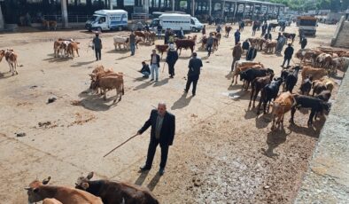 Diyarbakır’da kurban hazırlığı: Vekaletle kurban bedeline zam