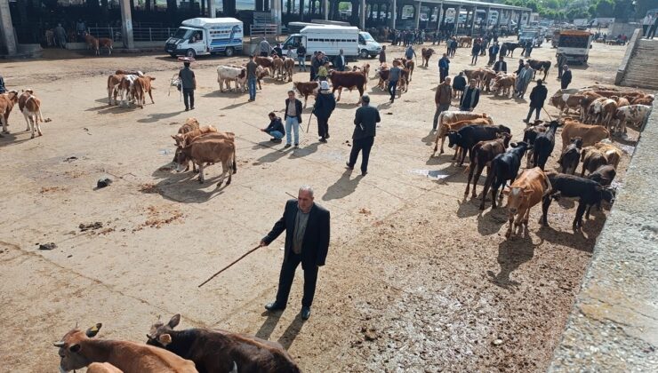 Diyarbakır’da kurban hazırlığı: Vekaletle kurban bedeline zam
