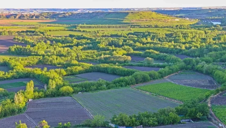 Bakanlıktan Diyarbakır’a yüzde 75 nakdi hibe desteği