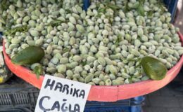 Diyarbakır’da çağlanın kilosu 250 TL’den satılıyor