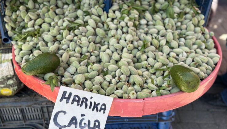 Diyarbakır’da çağlanın kilosu 250 TL’den satılıyor