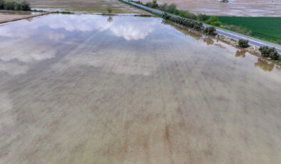 İzmir’de sağanak: Tarım arazileri sular altında