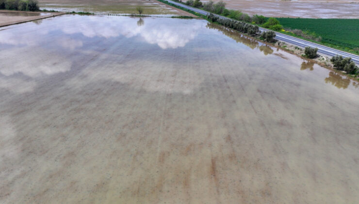 İzmir’de sağanak: Tarım arazileri sular altında