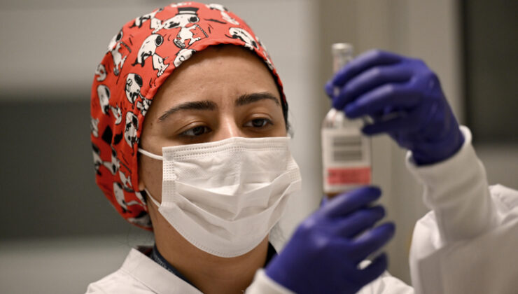 Kanser tedavisinde umut veren gelişme: Hücre tedavisi dönemi başladı