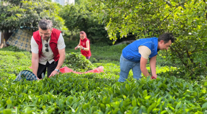 Gençlerden tarımsal üretime destek: ‘Gönüllü Hasat Etkinliği’ takvimi belli oldu