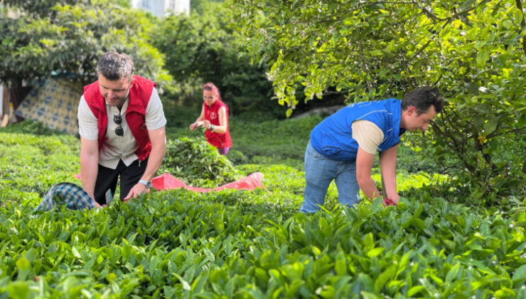 Gençlerden tarımsal üretime destek: ‘Gönüllü Hasat Etkinliği’ takvimi belli oldu