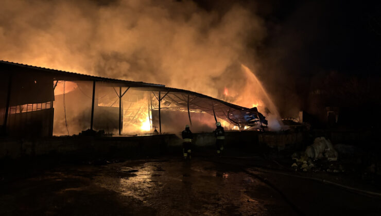 Samsun'da meyve deposunda yangın