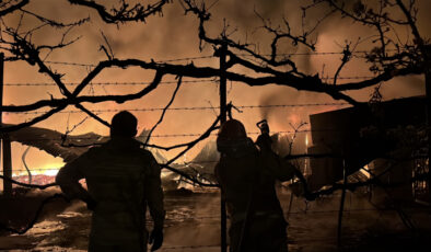 Samsun'da alevler depoyu sardı