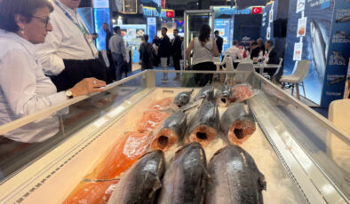 İhracatın yükselen yıldızı: Türk su ürünleri