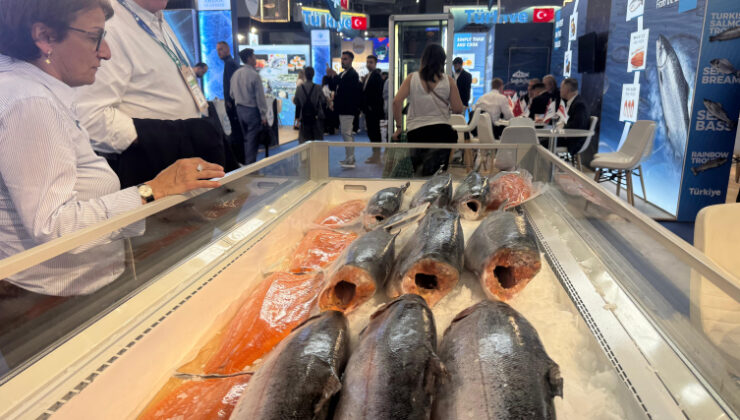 İhracatın yükselen yıldızı: Türk su ürünleri