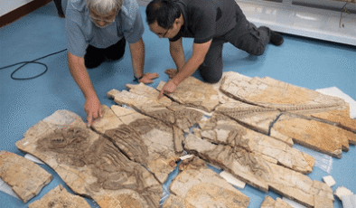 125 Milyon Yıllık Fosilleşmiş Deri Kirpi Gibi Dikenli Genç Dinozoru Ortaya Çıkardı