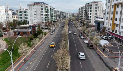 Diyarbakır armutla süslendi