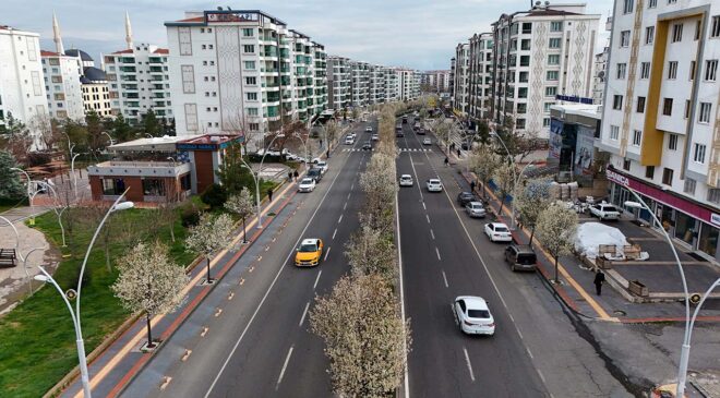 Diyarbakır armutla süslendi