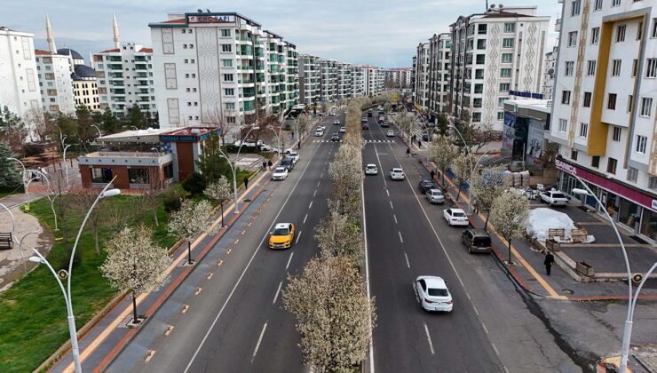 Diyarbakır armutla süslendi