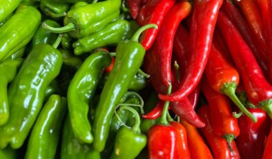 Biber ihracatının yüzde 74'ü Batı Akdeniz'den