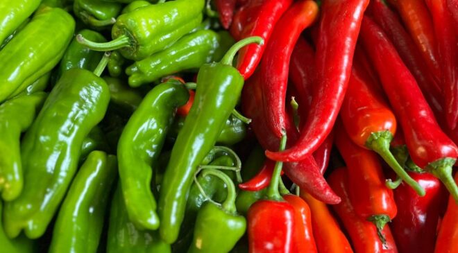 Biber ihracatının yüzde 74'ü Batı Akdeniz'den