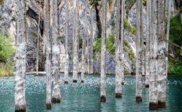 Kaindy Gölü: Tian Shan Dağlarındaki Ürkütücü Sualtı Ormanı