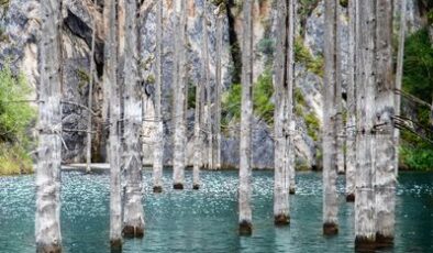 Kaindy Gölü: Tian Shan Dağlarındaki Ürkütücü Sualtı Ormanı