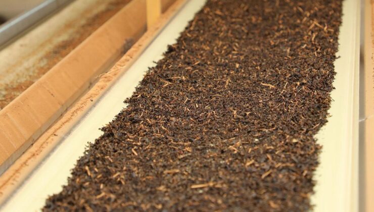 Türk çayı ihracatı 34,8 milyon doları aştı