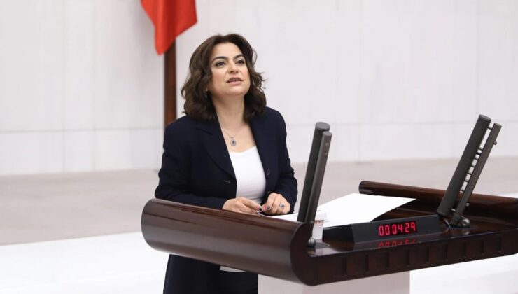 DEM Parti duyurdu: Öcalan’ın mesajı açıklanıyor