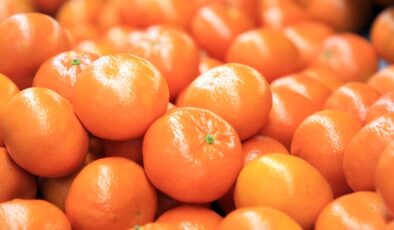 Turunçgil ihracatı 697,7 milyon dolara ulaştı