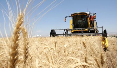 Türk hububatçılardan ilk çeyrekte 2,8 milyar dolarlık ihracat