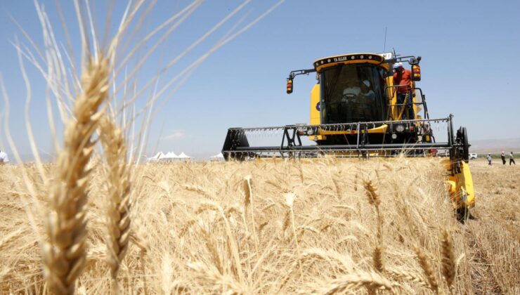 Türk hububatçılardan ilk çeyrekte 2,8 milyar dolarlık ihracat