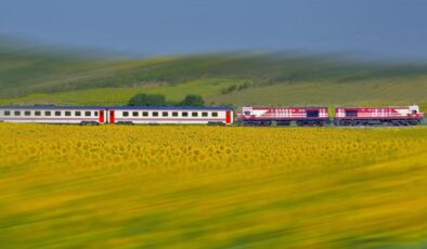 TCDD otla mücadele kapsamında tren yollarında ilaçlama yapacak