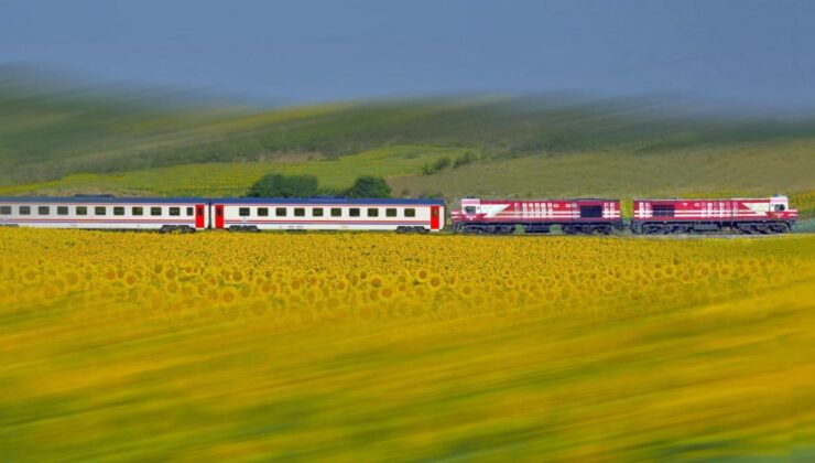 TCDD otla mücadele kapsamında tren yollarında ilaçlama yapacak