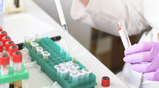 Gıda ve çevre konulu uluslararası projelere destek sağlanacak