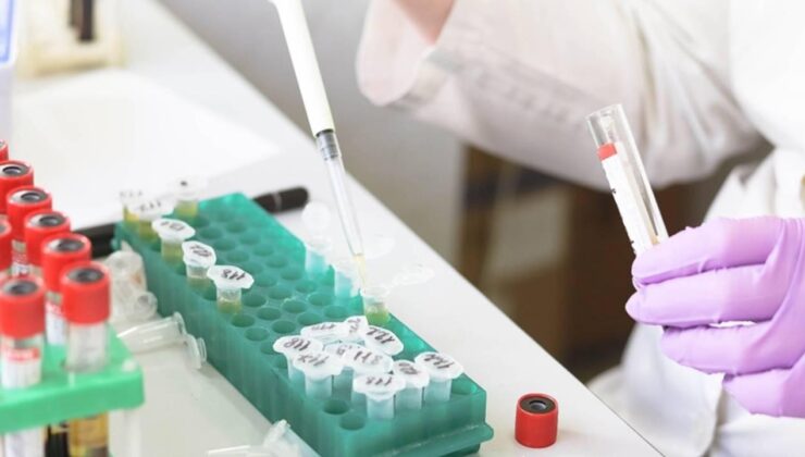 Gıda ve çevre konulu uluslararası projelere destek sağlanacak