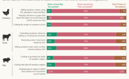 Çoğu insan çiftlik hayvanlarını önemsiyor; gıda sistemimiz bunu yansıtmıyor