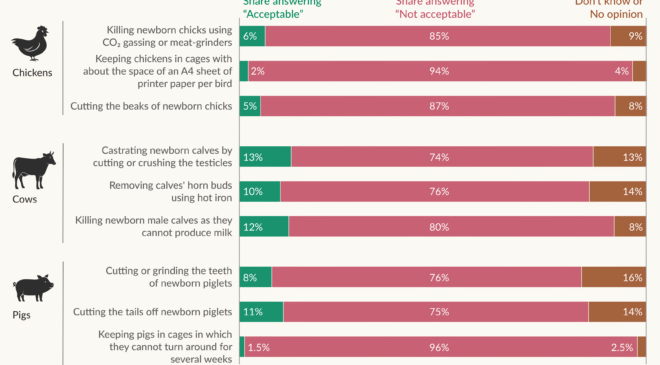 Çoğu insan çiftlik hayvanlarını önemsiyor; gıda sistemimiz bunu yansıtmıyor