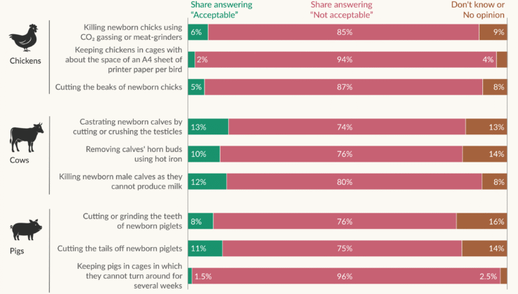 Çoğu insan çiftlik hayvanlarını önemsiyor; gıda sistemimiz bunu yansıtmıyor