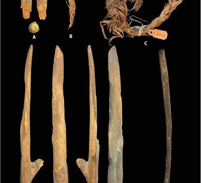 Bu Minik, Sıradışı Görünümlü Elk Derisi Artıkları Şimdiye Kadar Bulunan En Eski Dikilmiş Giysi Olabilir