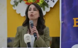 Hatimoğulları: Süreçte tıkanıklıklar yaşanıyor