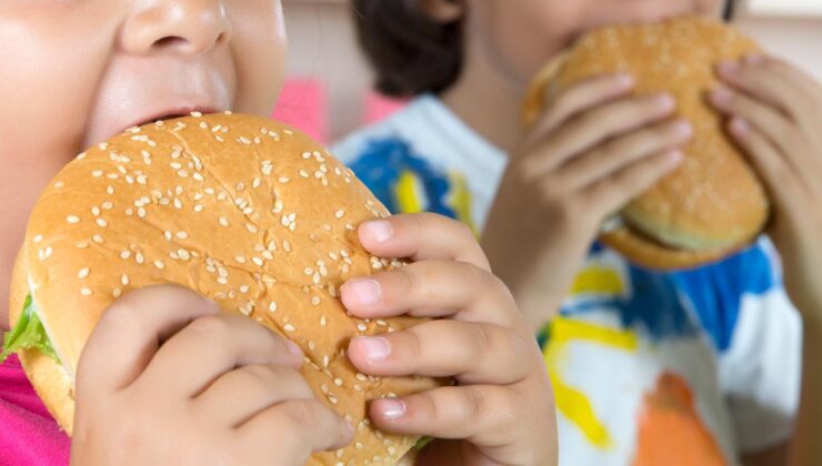 Türkiye’nin ‘hızlı’ favorileri belli oldu: Zirvede hamburger ve çikolata var